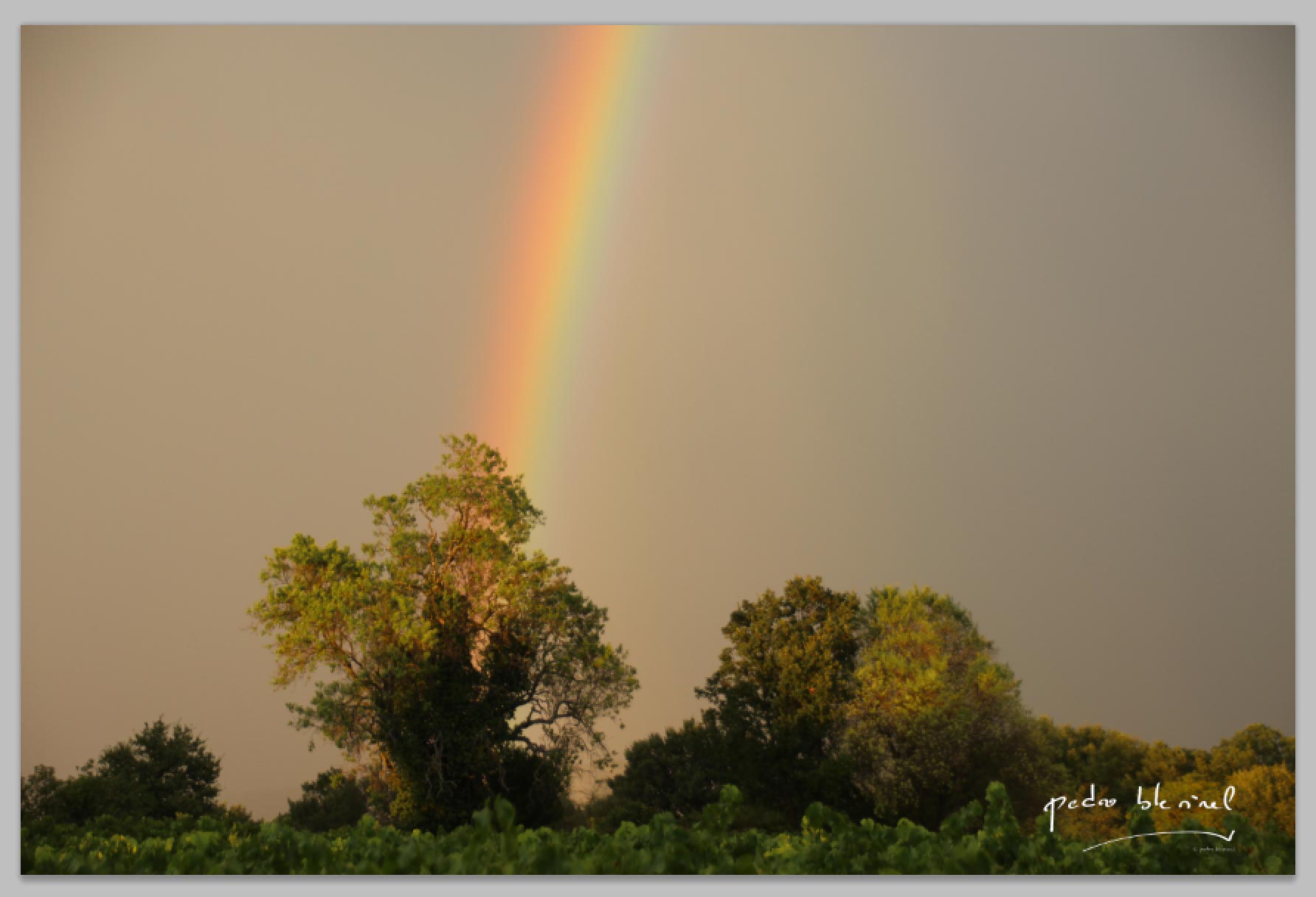 arc-en-ciel