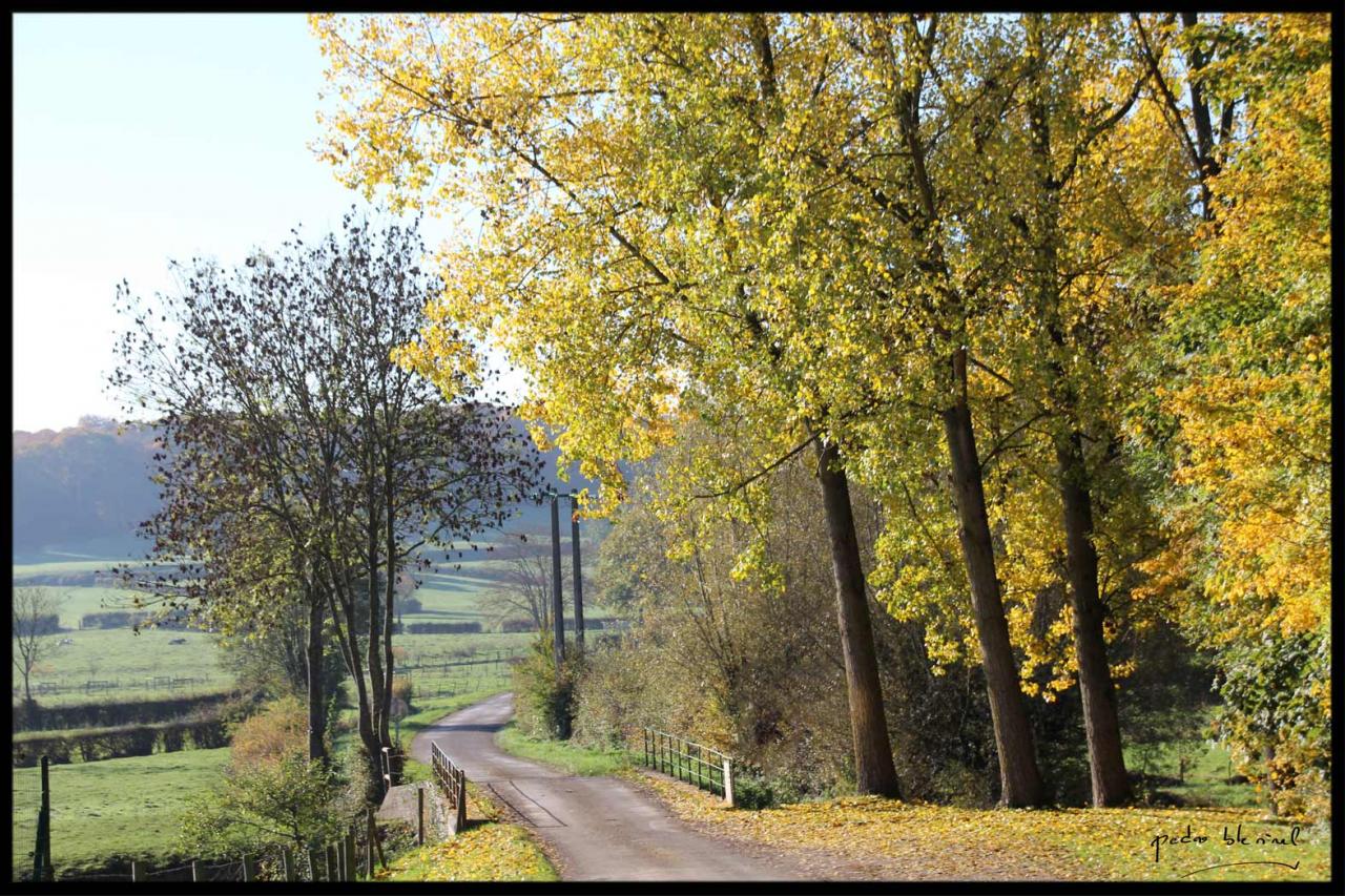 AVESNOIS : c'était un petit chemin (09/03/17)