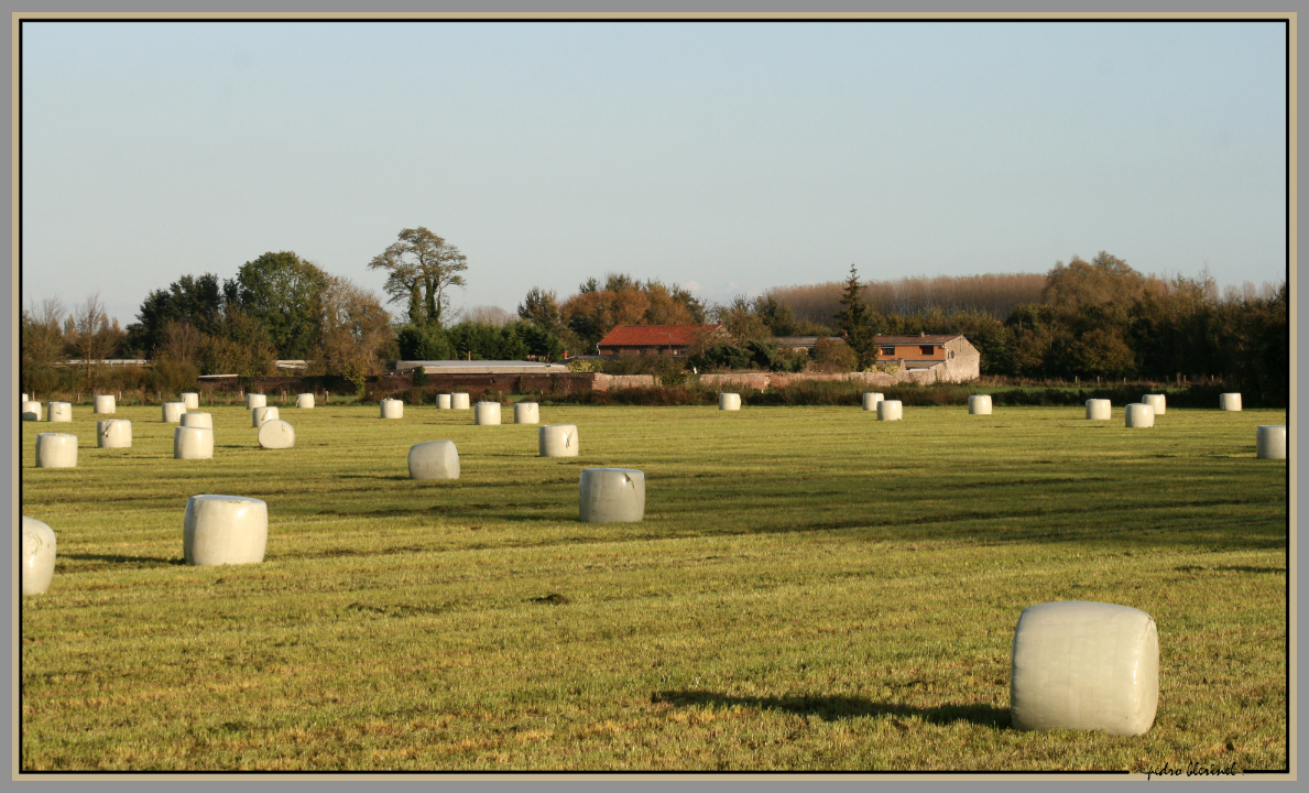 CRESPIN : nos colonnes de Buren (28/01/17)