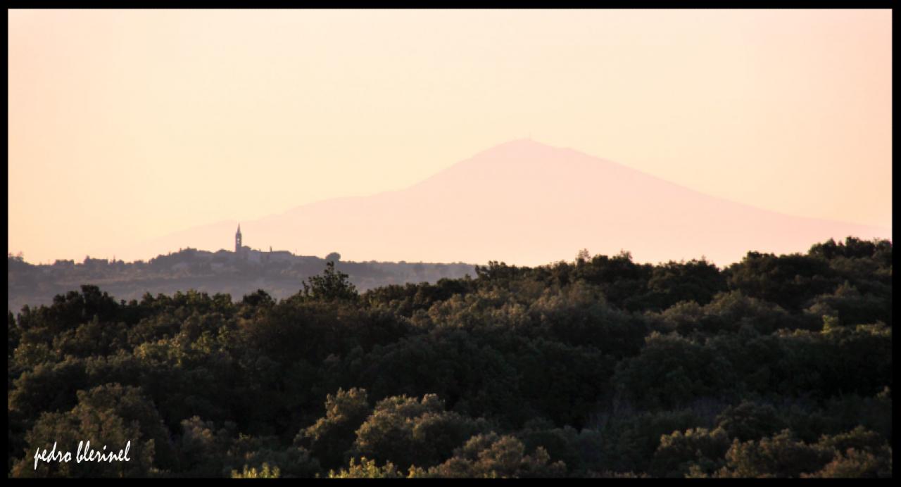 Ventoux (14/07/17)