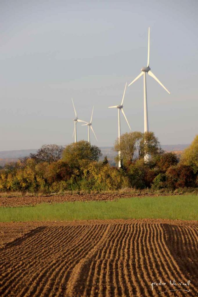 éoliennes