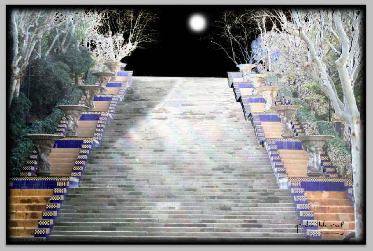 l'escalier de la nuit