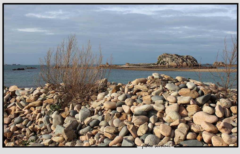 BRETAGNE : galets (14/02/17)