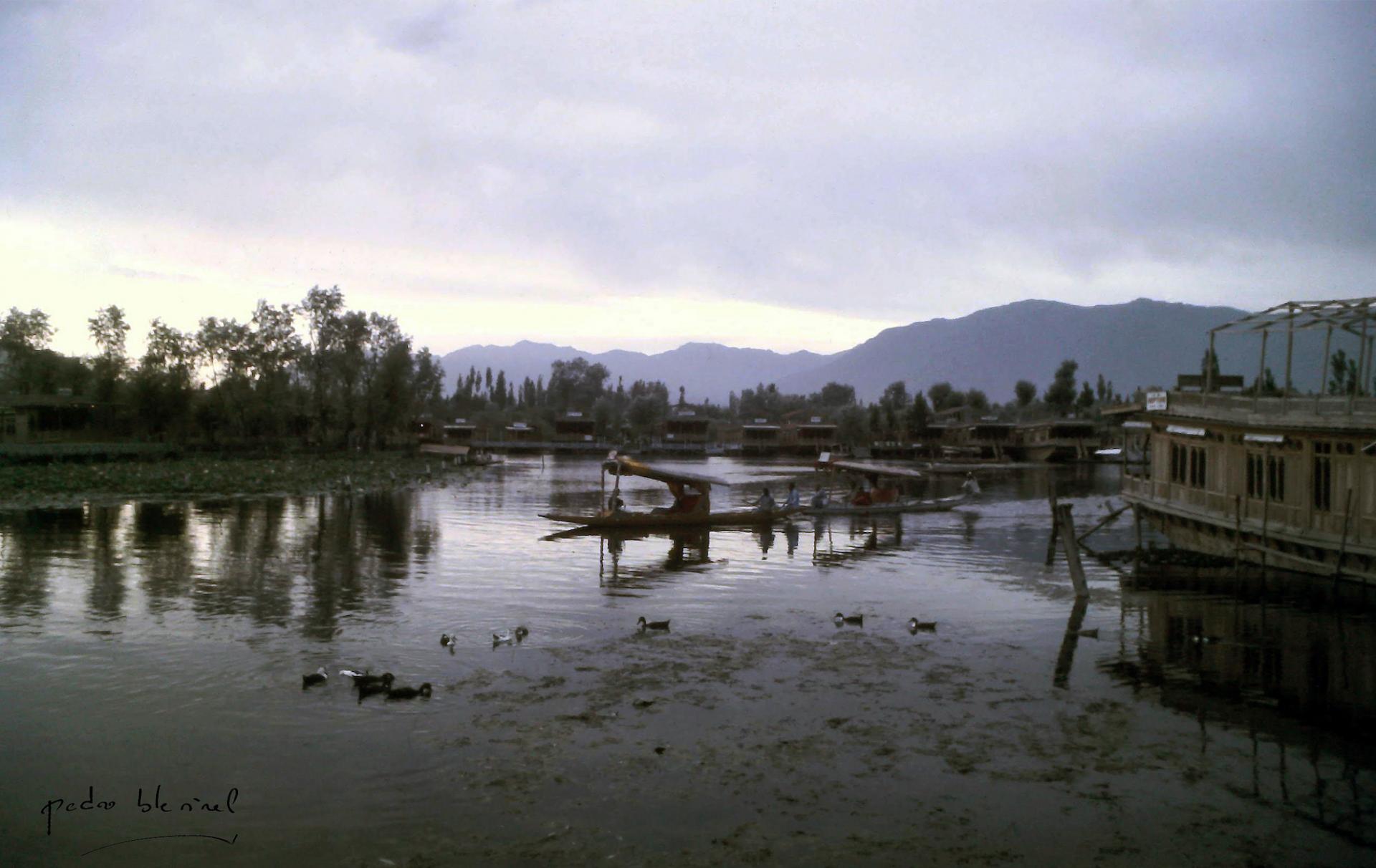 house boat et sikara