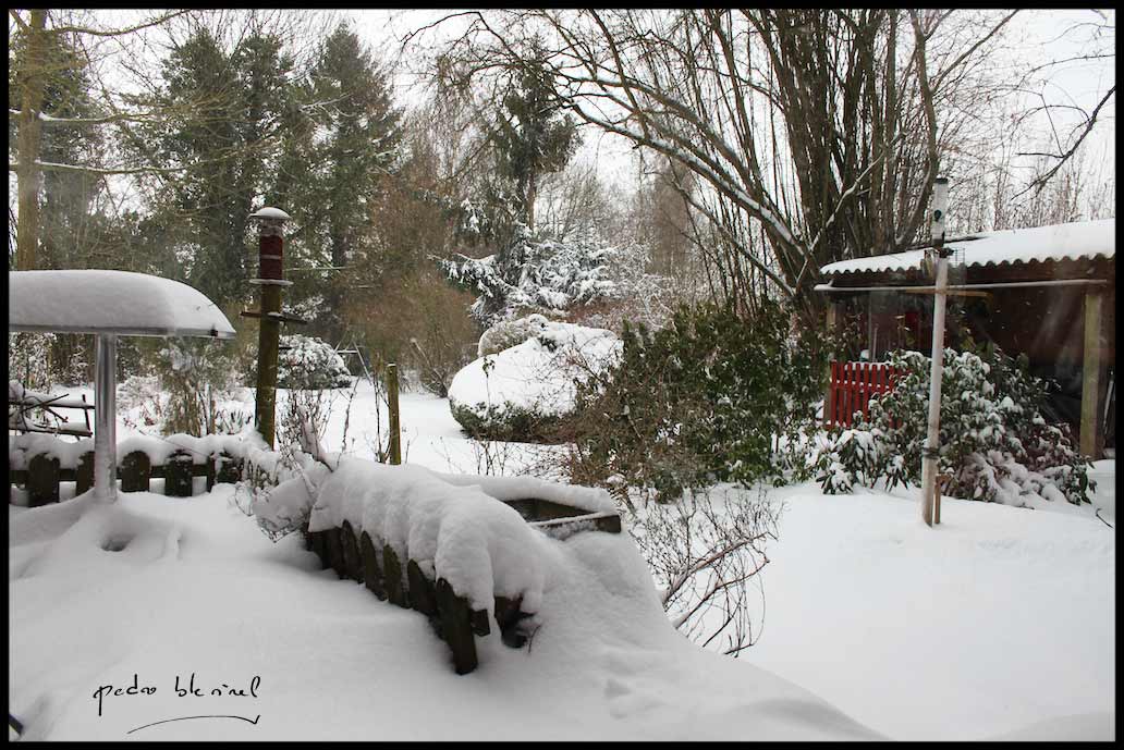 Jardin sous la neige (24/05/17)