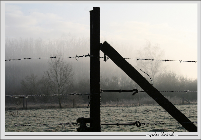 CRESPIN : Jour et brouillard (09/02/17)