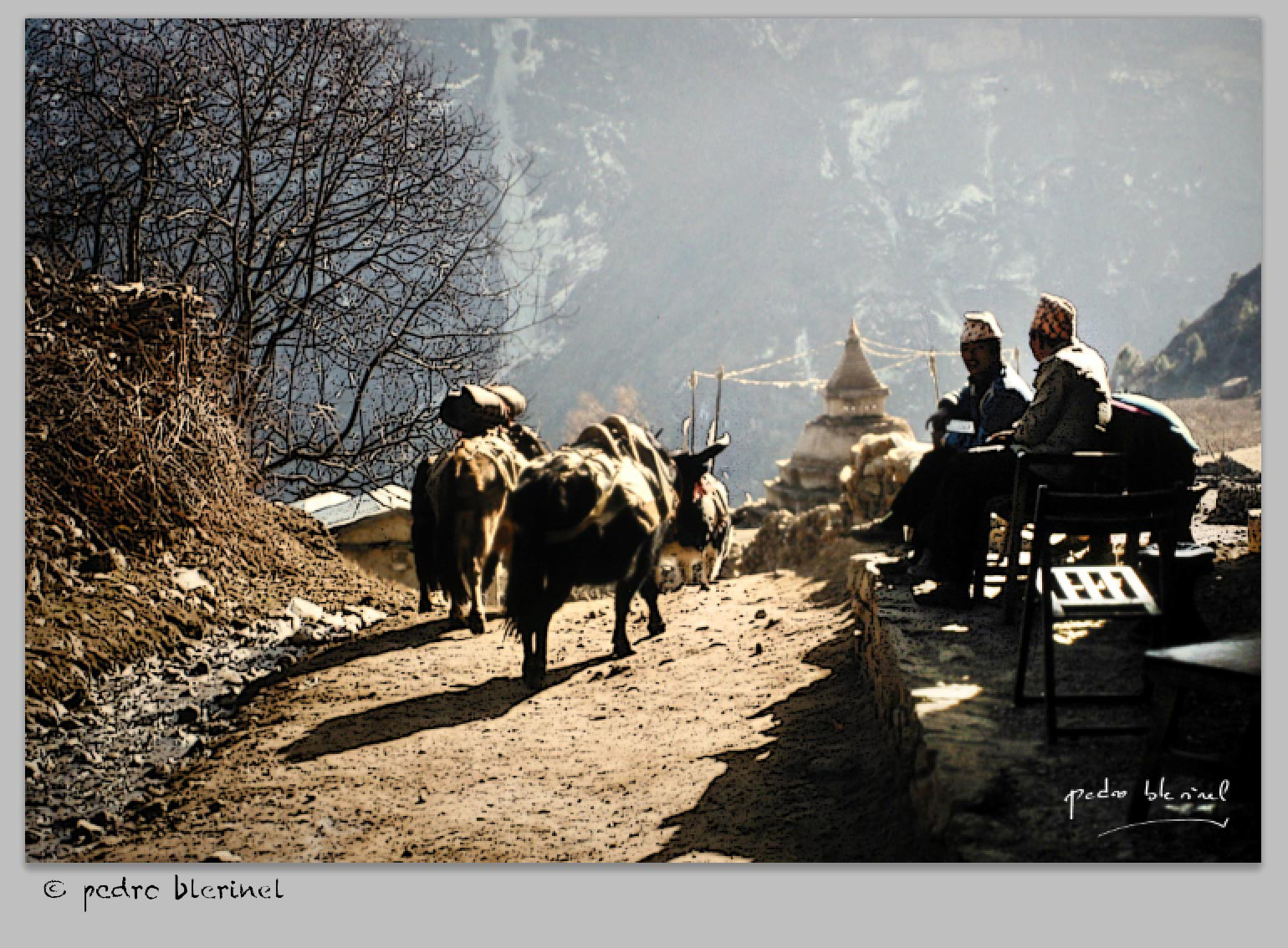 la caravane passe