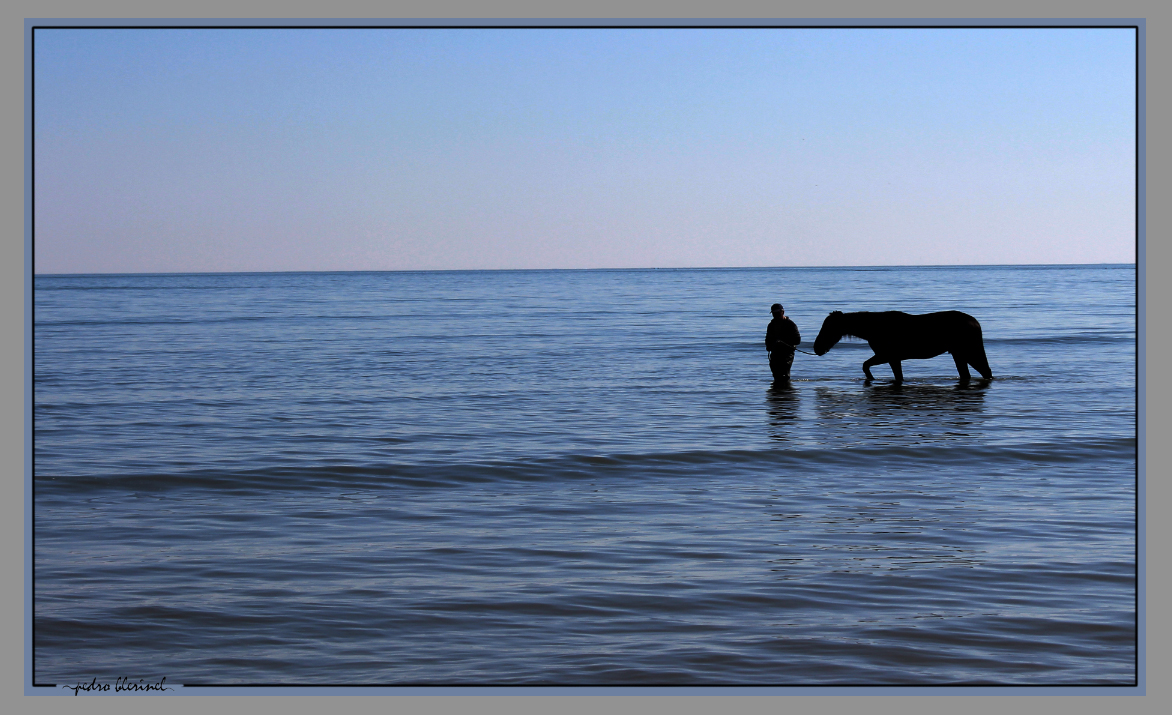 LA BAULE : le cheval et la mer (13/01/17)