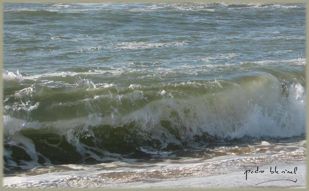 les chevaux de la mer (03/06/17)