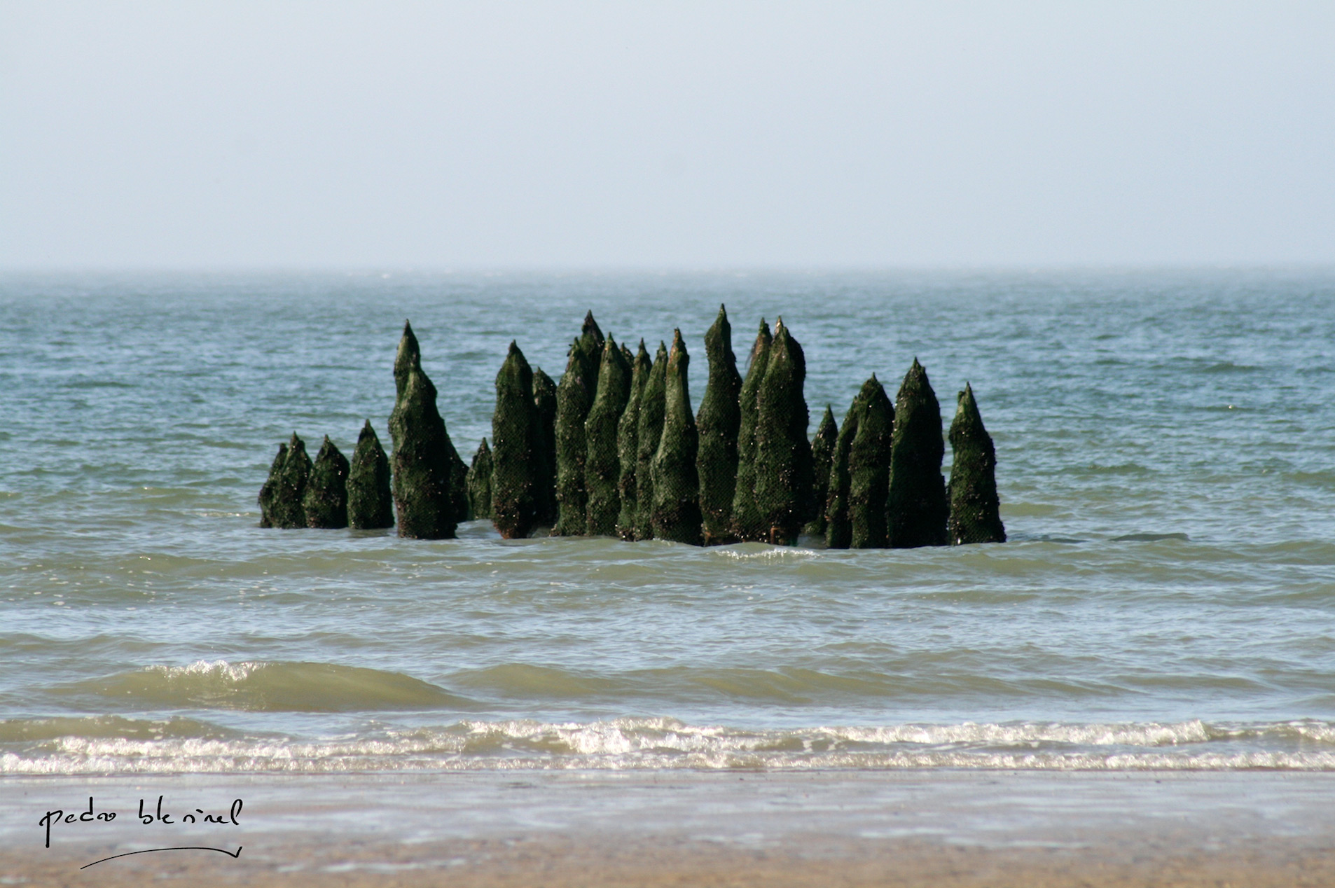 les dents de la mer