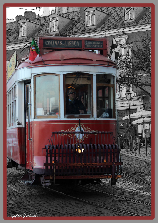 LISBONNE : tram rouge (12/01/17)