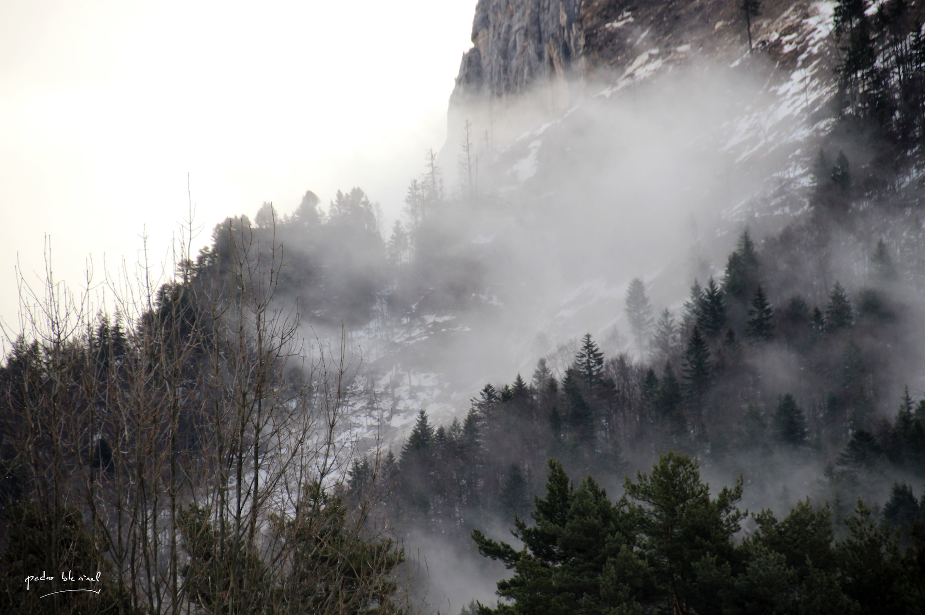 on est dans le brouillard