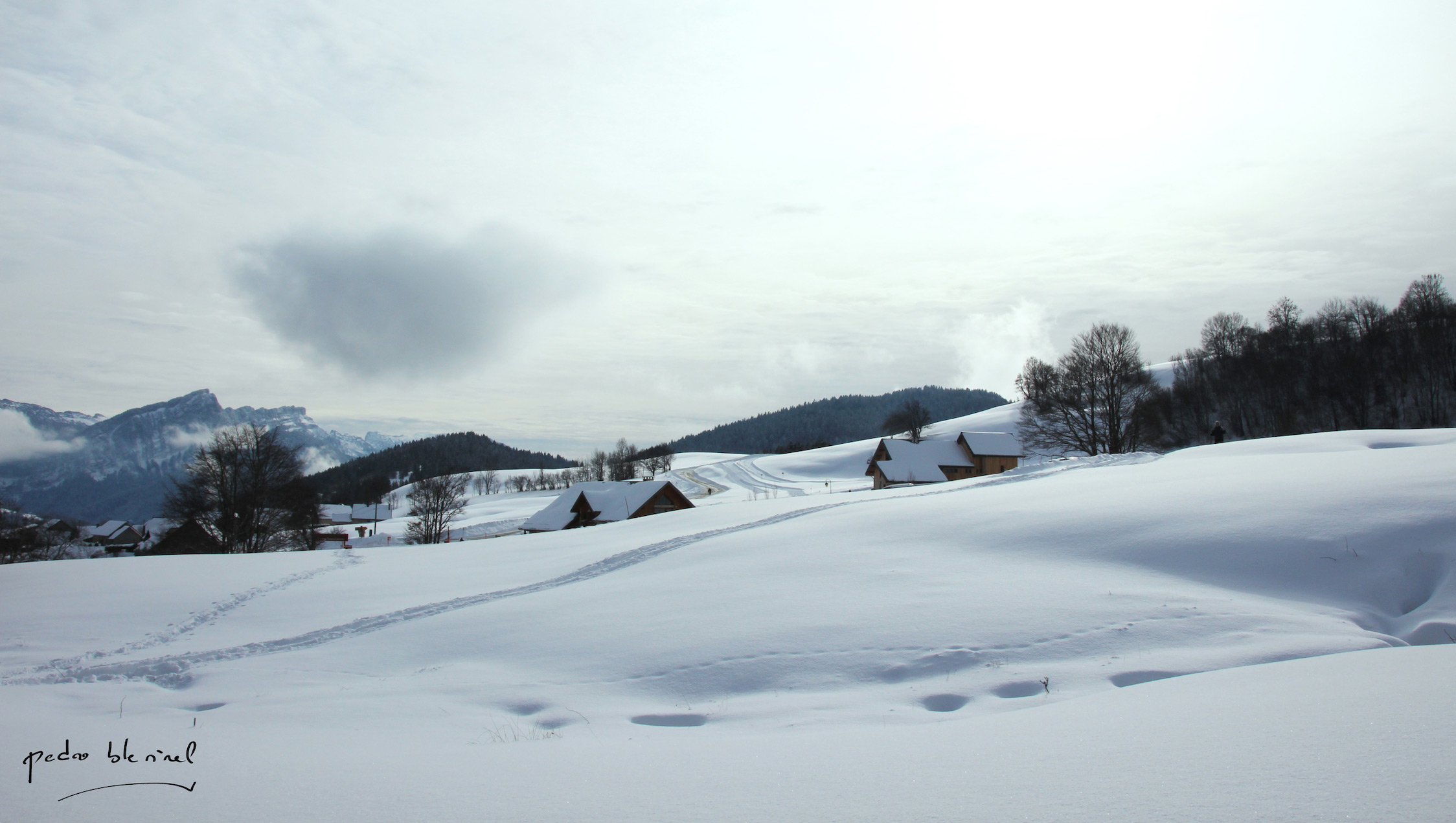 paysage-de-neige