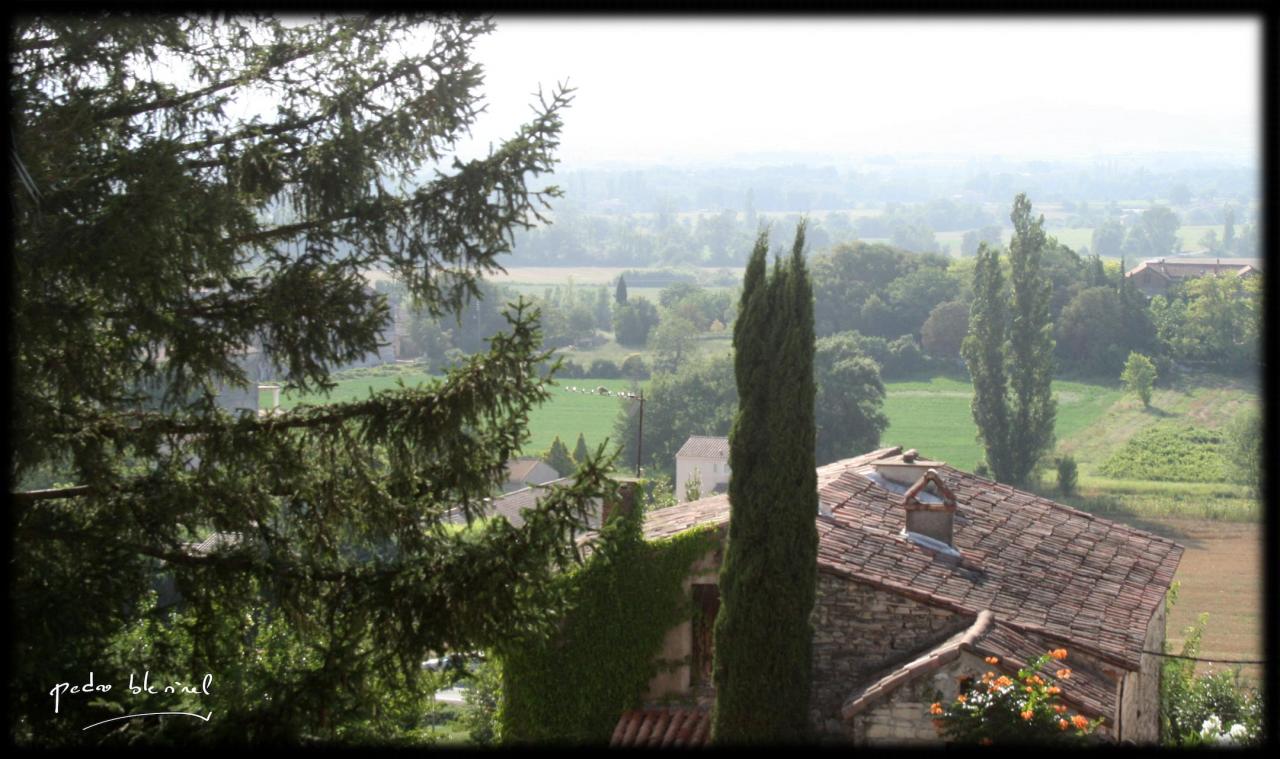 paysage du midi