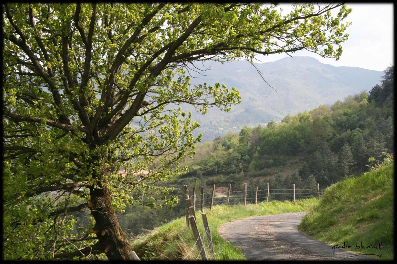 Printemps en Ardèche: le chemin (02/04/17)