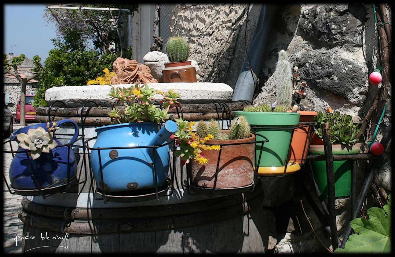 Printemps en Ardèche : les pots (06/04/17)