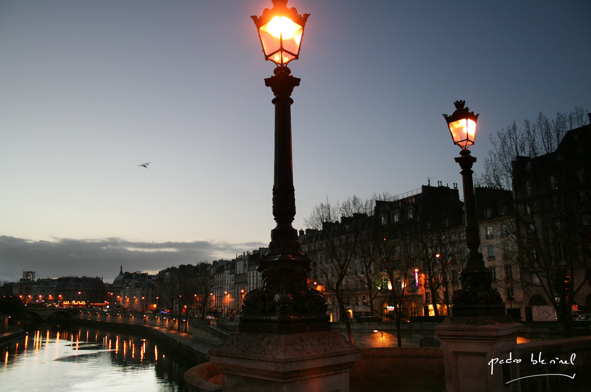 quais de Seine