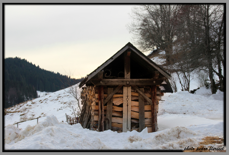 CHARTREUSE : réserve de bois (31/01/17)