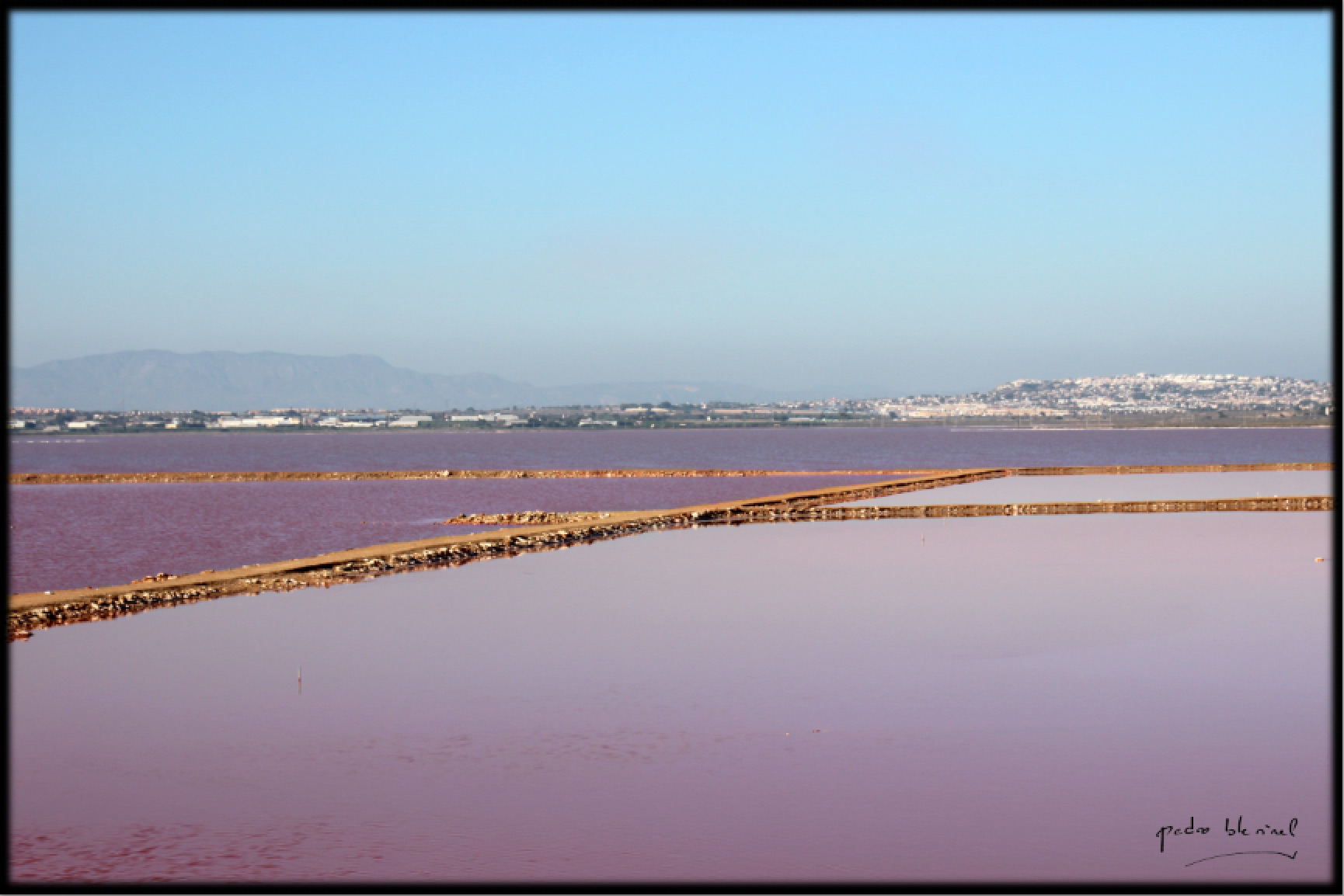 salines roses