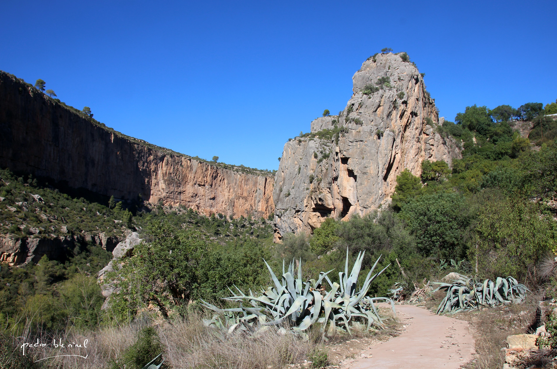 sentier de montagne