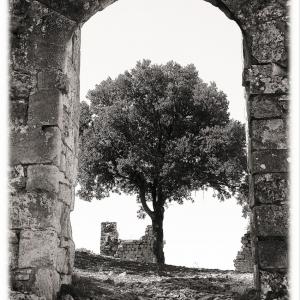 auprès de mon arbre