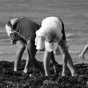 pêche aux moules