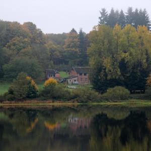 reflets d'automne